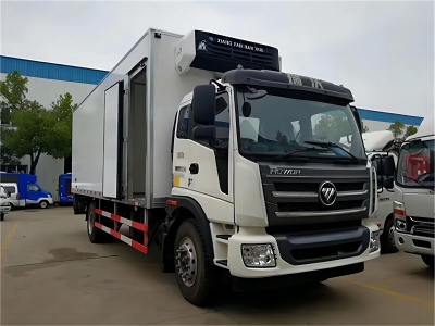 8 Ton and 10 Ton Foton Refrigerated Truck Box Freezer Van with Lifting Plate