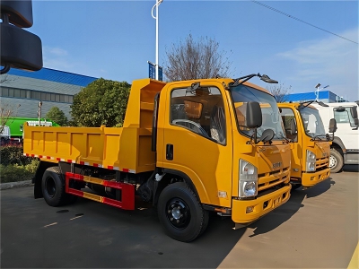 Isuzu 700p 4X2 190HP 8 Tons Small Dumper Tipper Dump Truck 